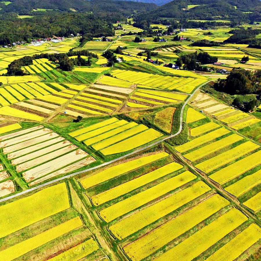 銀河のしずく 10kg 5kg×2袋  岩手県産 白米 令和5年産 うるち米 米 お米 ごはん お歳暮｜yamatorice｜12