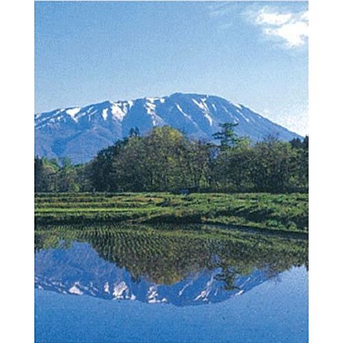 岩手県オリジナル米　新米　令和6年度産　銀河のしずく10kg Amazon.co.jp: 令和6年 岩手県産 銀河のしずく 10kg : 食品