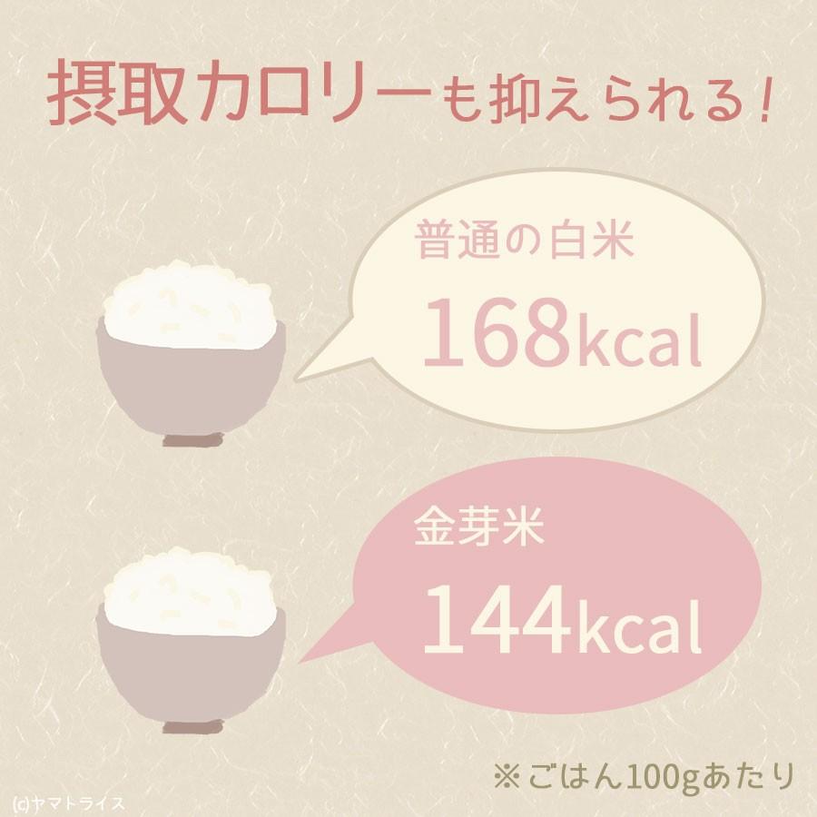 金芽米 無洗米 タニタ食堂 9kg 10kg相当 お米 計量カップ付 4.5kg×2 令和5年産｜yamatorice｜06