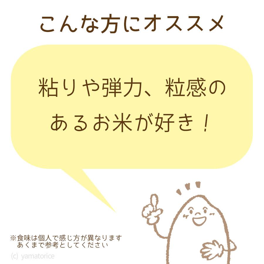 米 お米 20kg あきたこまち 秋田県産 白米 5kg×4 令和5年産｜yamatorice｜13