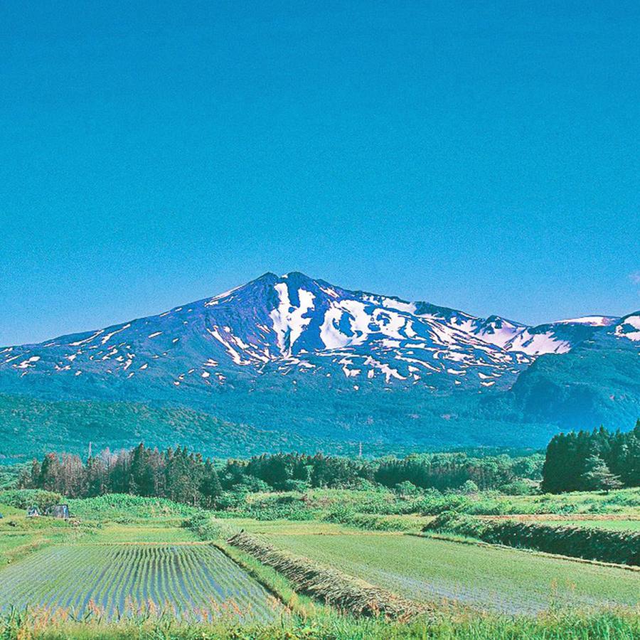 あきたこまち 米 お米 20kg 秋田県産 白米 5kg×4 令和6年産 あきたこまち 米 お米 20kg 秋田県産 白米 5kg×4 令和6年産