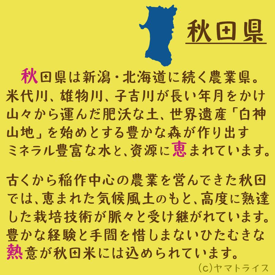 米 お米 20kg あきたこまち 秋田県産 白米 5kg×4 令和5年産｜yamatorice｜05