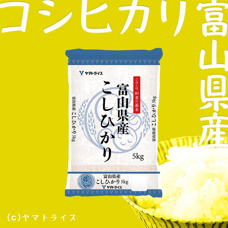 【エントリーでポイント5倍】コシヒカリ 10kg 白米 富山県産 5kg×2 米 お米 令和5年産 お中元 お歳暮｜yamatorice｜02