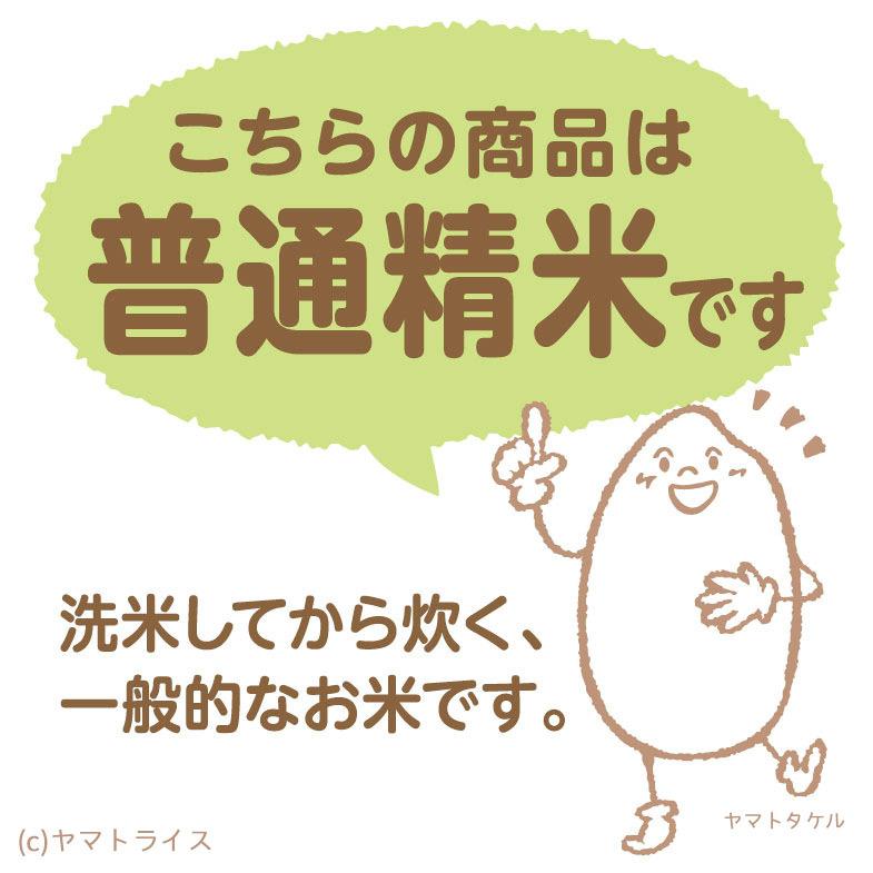 米 お米 コシヒカリ 新潟県産 5kg 白米 令和5年産｜yamatorice｜09