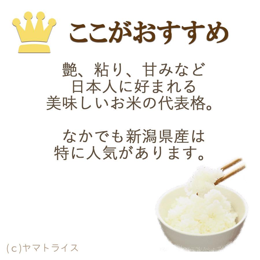 米 お米 コシヒカリ 20kg 新潟県産 5kg×4 白米 令和5年産｜yamatorice｜10