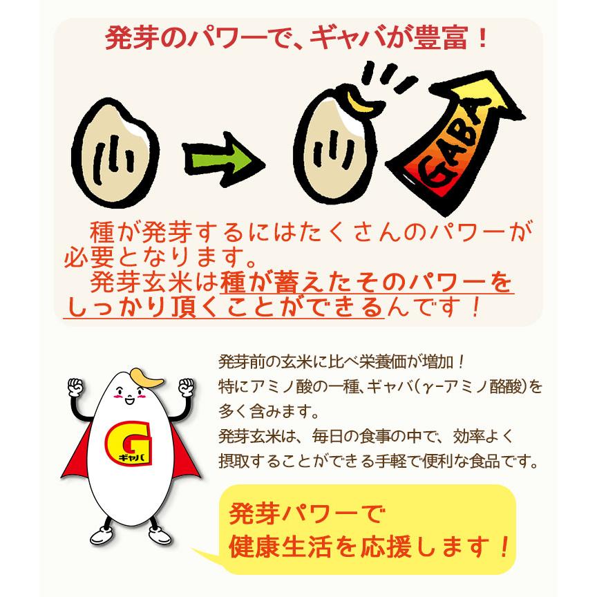 《SALE》【栄養機能食品】GABA 発芽玄米 国産 9kg（1.5kg×6） 1ケース お米 米 玄米 敬老の日 父の日 母の日 | ヤマトライス | 04