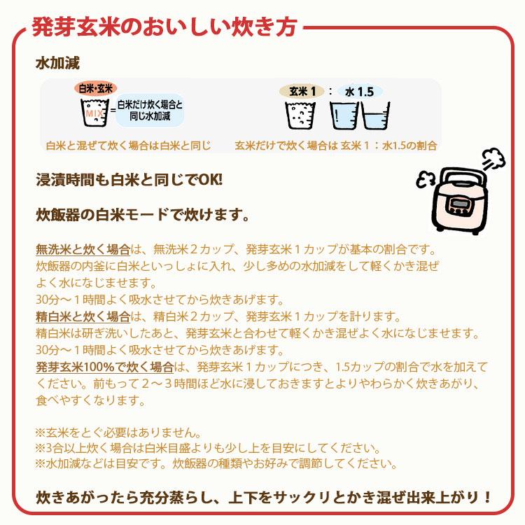 《SALE》【栄養機能食品】GABA 発芽玄米 国産 9kg（1.5kg×6） 1ケース お米 米 玄米 敬老の日 父の日 母の日 | ヤマトライス | 08
