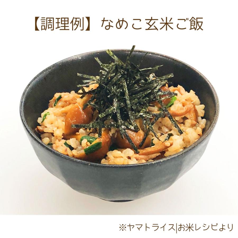 ヤマトライス 玄米 白米と同じように炊けるやわらかい玄米 9kg 900g×10