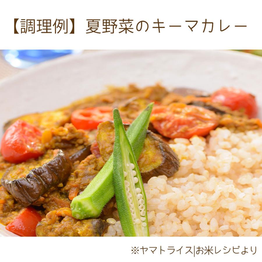 ヤマトライス 玄米 白米と同じように炊けるやわらかい玄米 1.8kg