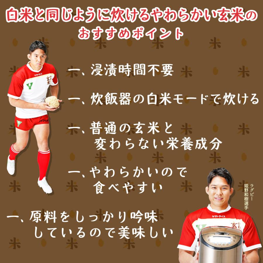 玄米 白米と同じように炊けるやわらかい玄米 1.8kg 900g×2 コシヒカリ 富山県産 令和5年産 【栄養機能食品】ビタミンB6 ビタミンE｜yamatorice｜07