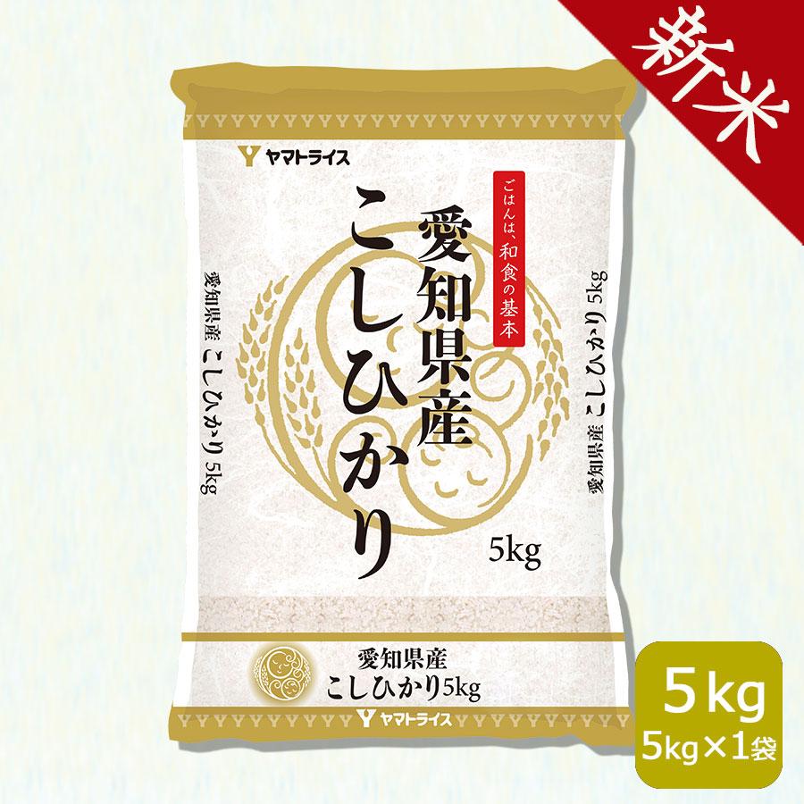 愛知県産コシヒカリ　白米24㎏ 送料無料 コシヒカリ 白米 愛知県産こしひかり10kg（5kg×2袋）