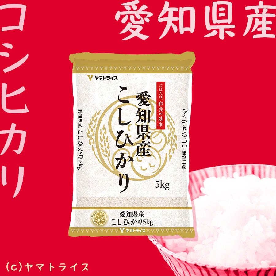 ヤマトライス 愛知県産 コシヒカリ 5kg お米 白米 令和7年産 : ヤマト
