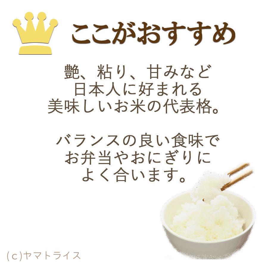 米 コシヒカリ お米 10kg 愛知県産 5kg×2 白米 令和5年産｜yamatorice｜08