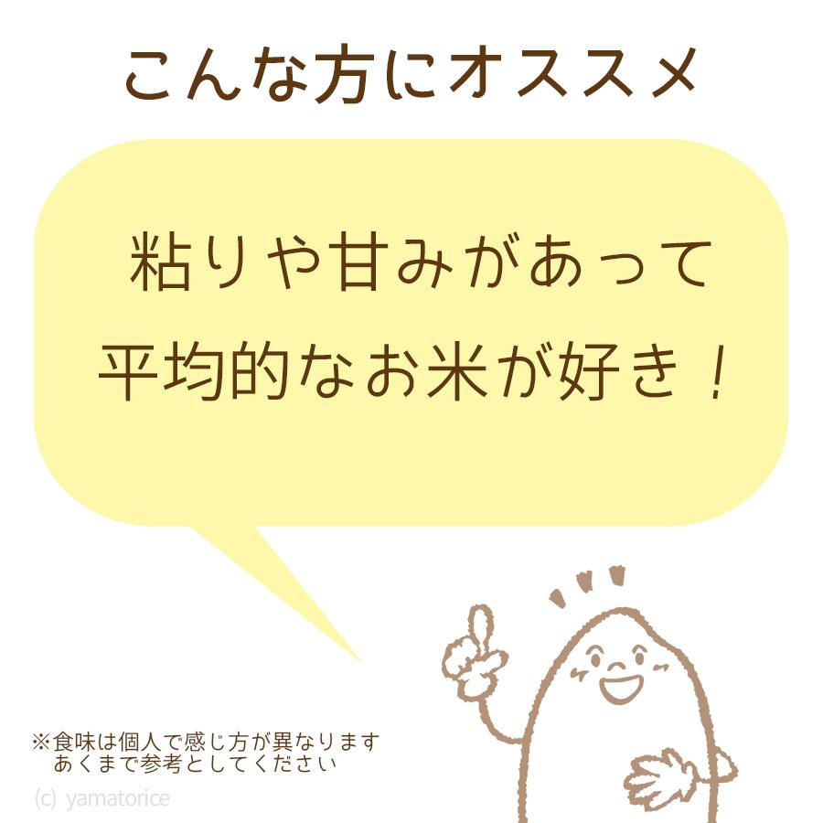 ヤマトライス 愛知県産 コシヒカリ 20kg お米 米 5kg×4 白米 令和7年産