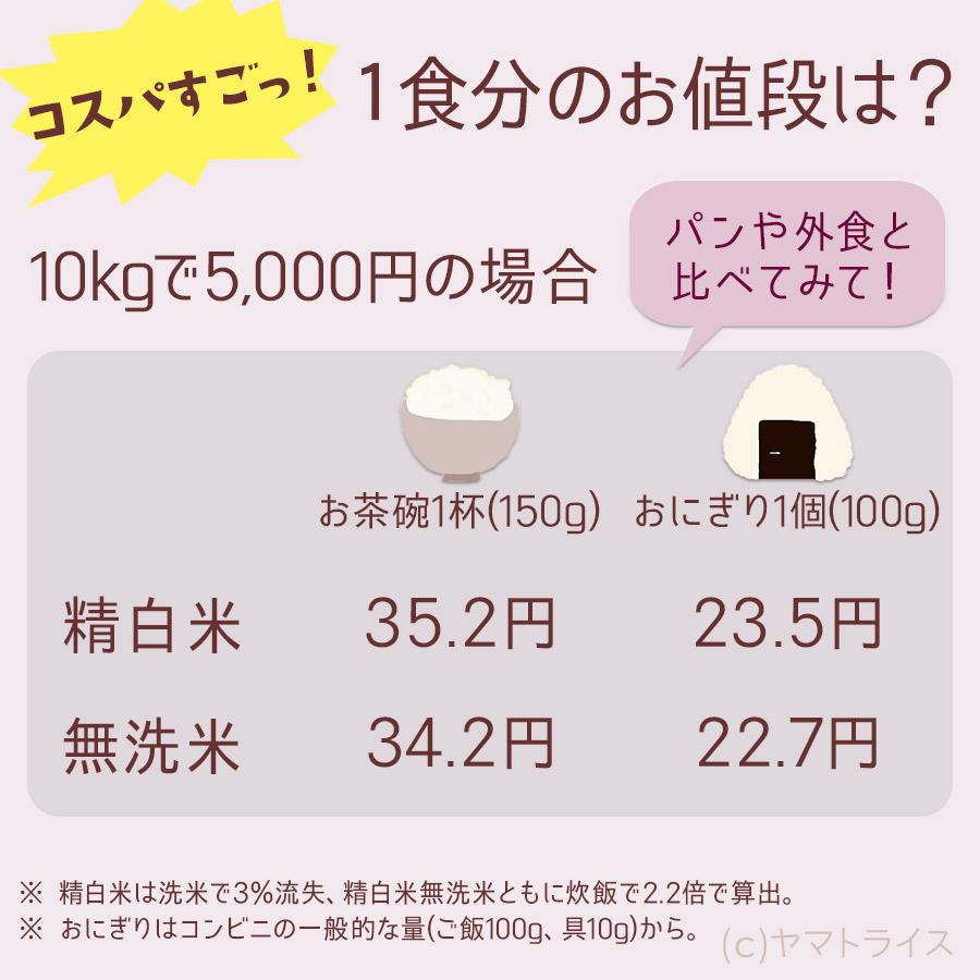 【300円OFFクーポン配布＆ポイント5倍】お米 ななつぼし 10kg 北海道産 5kg×2 白米 令和5年産 お歳暮 お中元 特A｜yamatorice｜18