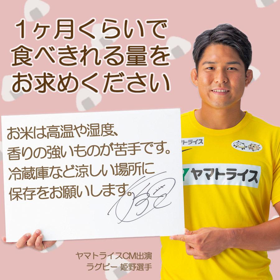 お米 ななつぼし 10kg 北海道産 5kg×2 白米 令和5年産 お歳暮 お中元 特A｜yamatorice｜10