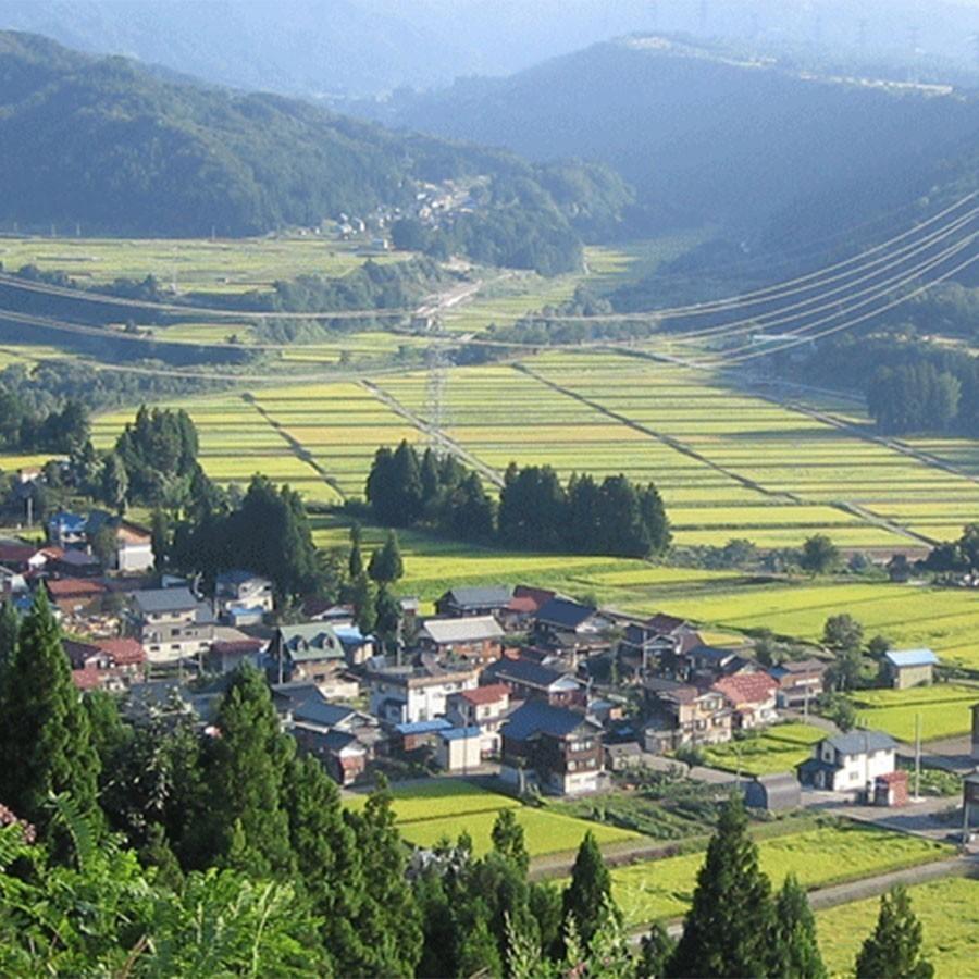 ななつぼし 【新米予約】米 お米 20kg 北海道産 白米 令和7年産