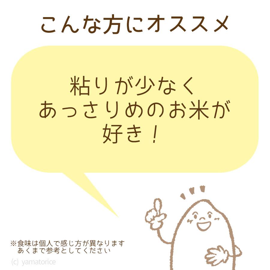 【エントリーで店内全品P5倍】米 お米 ななつぼし 20kg 北海道産 白米 令和5年産 5kg×4 お歳暮 お中元 特A｜yamatorice｜16