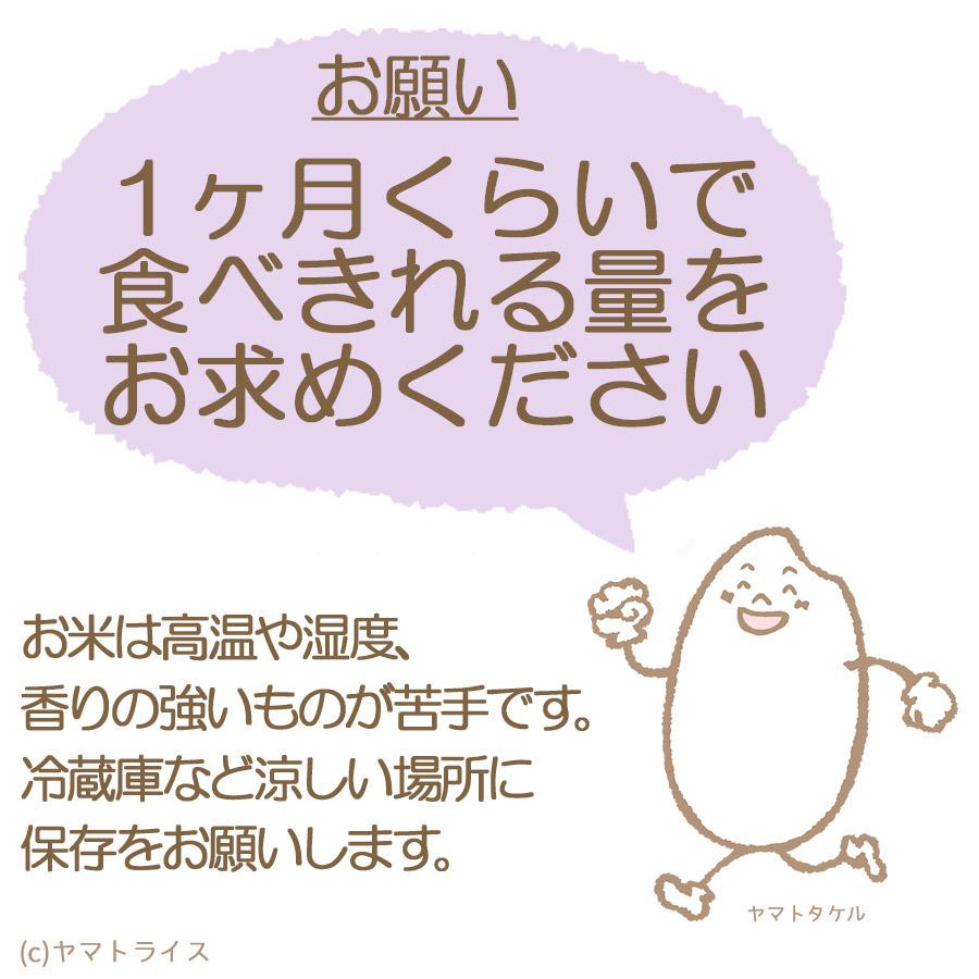 【エントリーで店内全品P5倍】米 お米 ななつぼし 20kg 北海道産 白米 令和5年産 5kg×4 お歳暮 お中元 特A｜yamatorice｜10