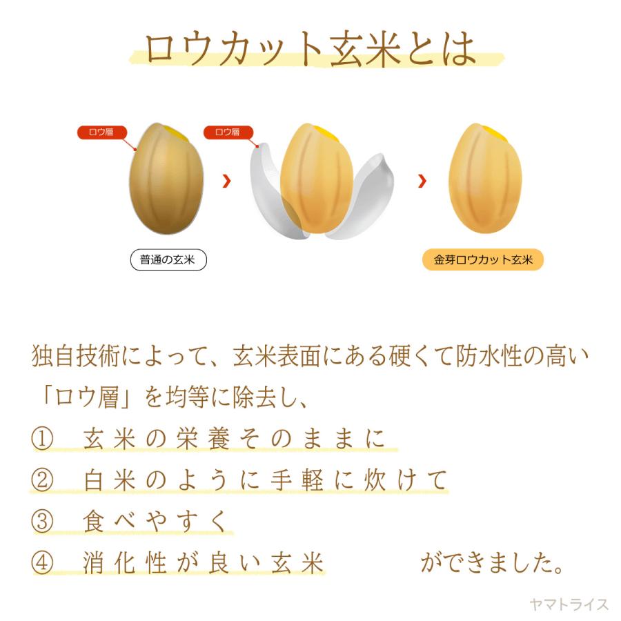 金芽ロウカット玄米 4kg お米 2kg×2 令和5年産｜yamatorice｜02