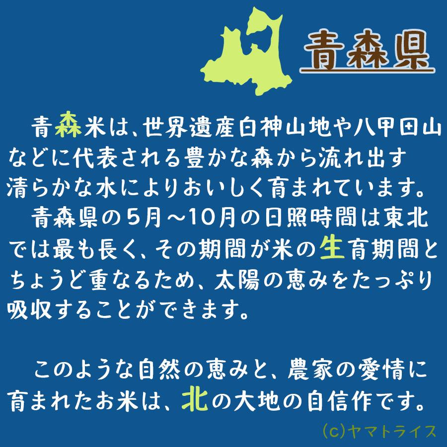 米 お米 5kg まっしぐら 青森県産 令和5年産 白米｜yamatorice｜06