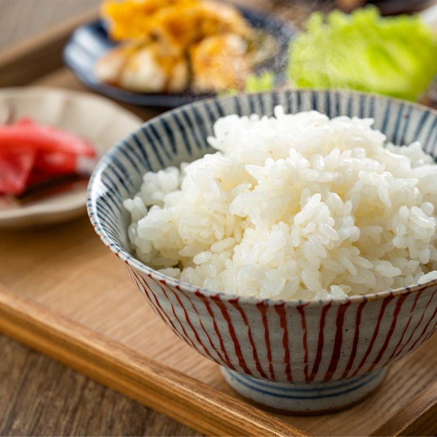 ひとめぼれ 米 お米 5kg 無洗米 岩手県産 農薬節減 令和7年産 : ヤマト