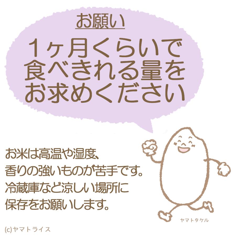 【エントリーで店内全品ポイント5倍】無洗米 10kg ななつぼし 北海道産 お米 米 5kg×2 令和7年産 特A お歳暮 お中元 | ななつぼし | 08