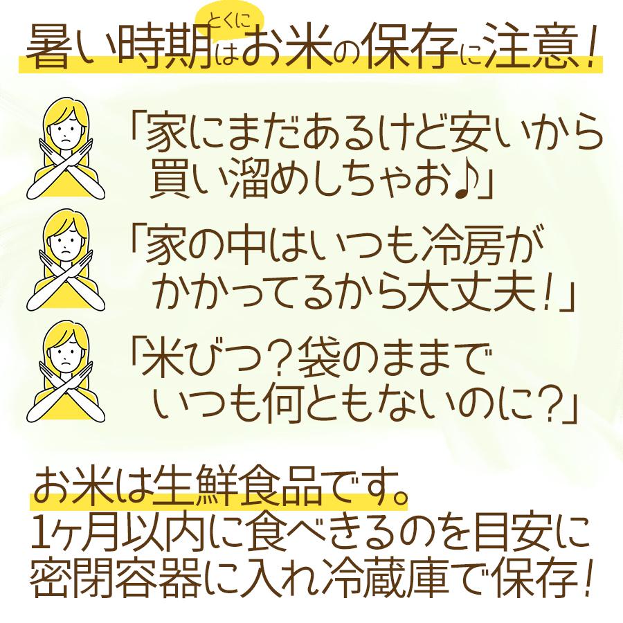 ななつぼし 無洗米 20kg 米 お米 5kg×4  北海道産 令和7年産 お歳暮 お中元 特A | ななつぼし | 20