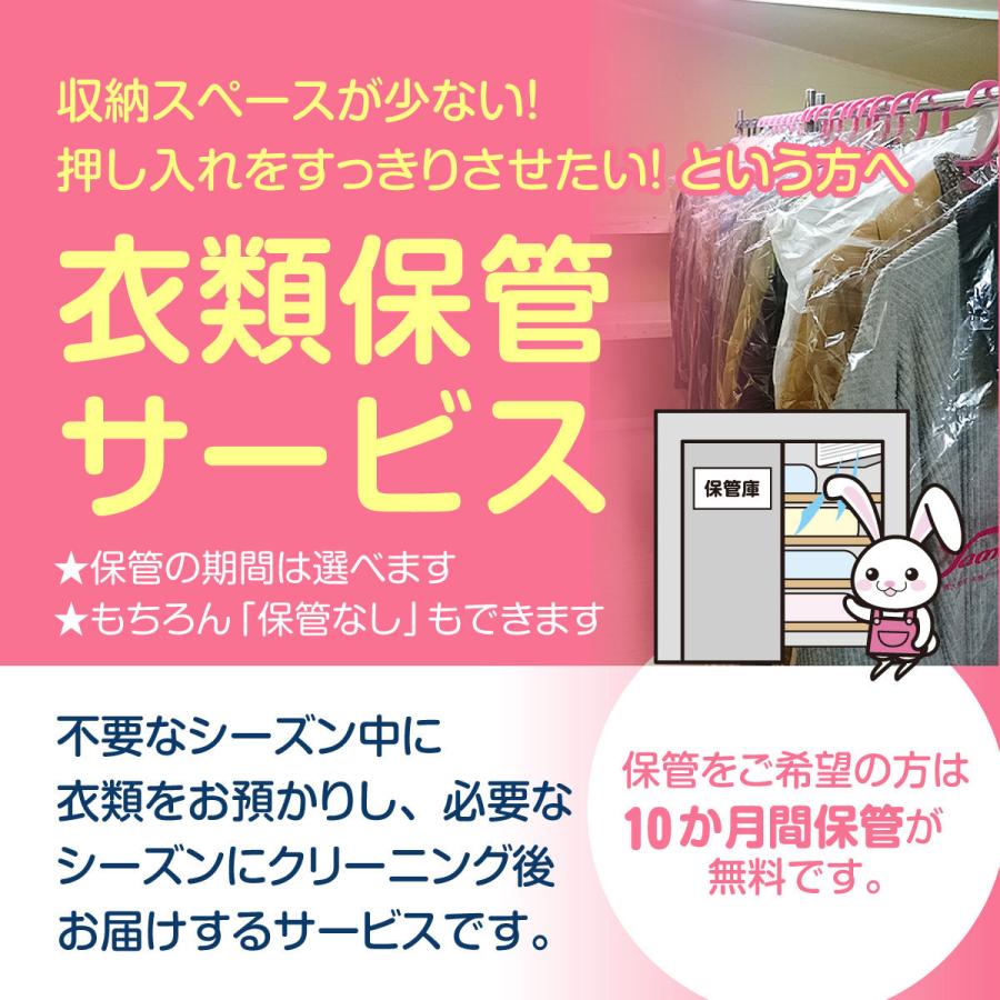 正規激安 クリーニング 宅配 １０点 まで 詰め放題 ハンガー仕上げ 保管 送料無料 シミ抜き無料 宅配 コート スーツ ワンピース ダウン 衣替え 毛玉取り 防虫 抗菌 除菌 再再販 Zoetalentsolutions Com
