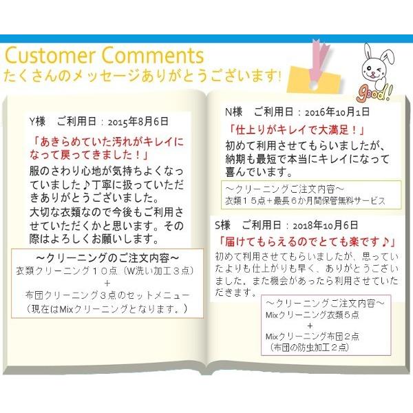 クリーニング 宅配 夏物限定 １０点 まで 詰め放題 ハンガー仕上げ