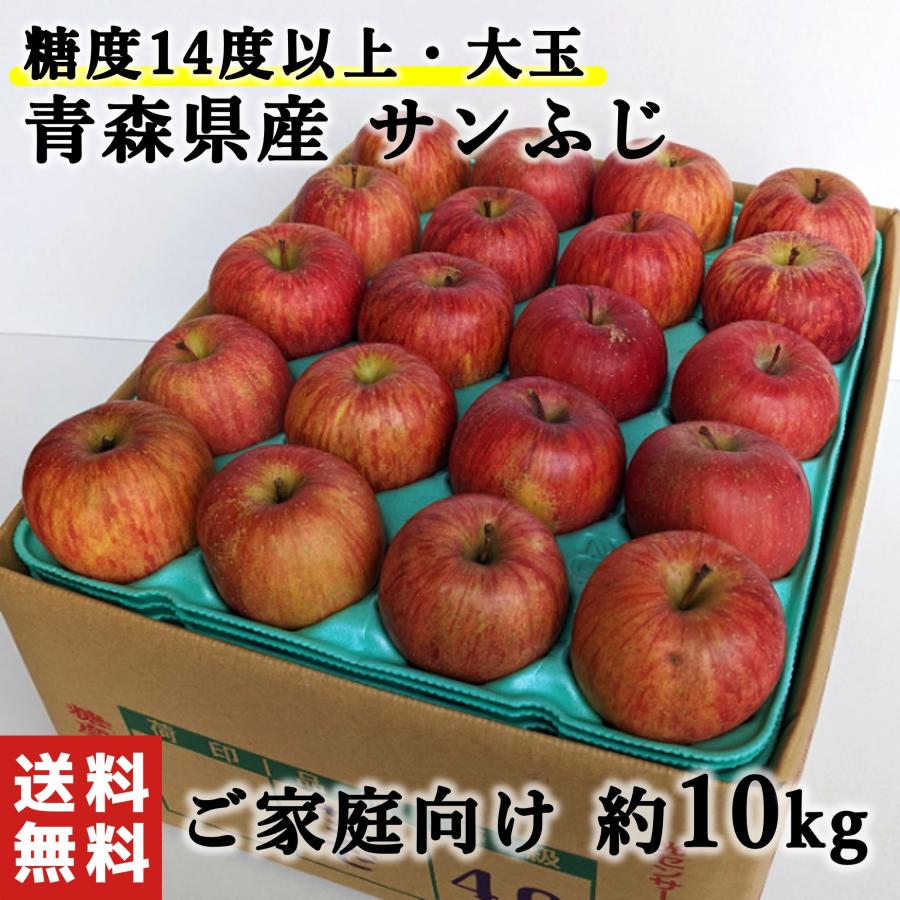 新しい季節 青森県産 有袋ふじ りんご 家庭用 10kg 農家直送 送料無料 リンゴ