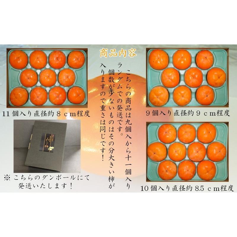 会津みしらず柿2L以上（9〜11個入り）2.5kg : 山ちゃんフルーツ園山内