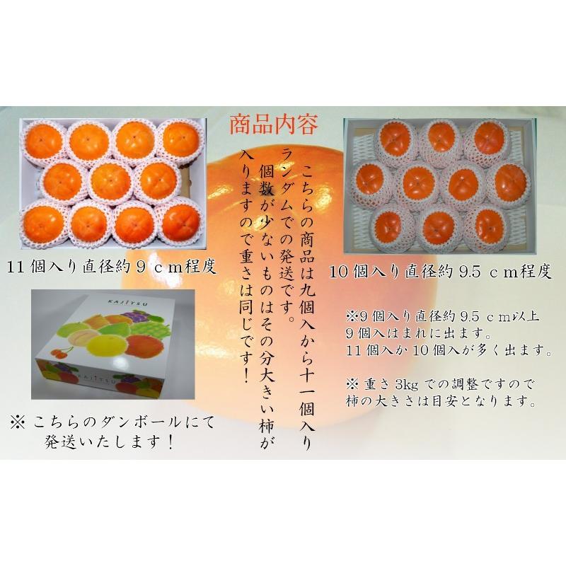 会津みしらず柿 3L以上（9〜11個入り）3kg福島県会津若松市北御山産