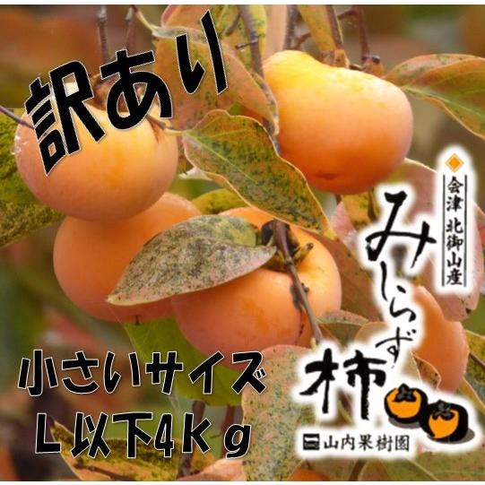 訳アリ会津みしらず柿小さいサイズ Lサイズ以下4kg（20個前後） 福島県