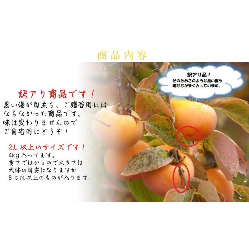 訳アリ会津みしらず柿 普通サイズ 2L以上4kg(15個前後) 福島県会津若松