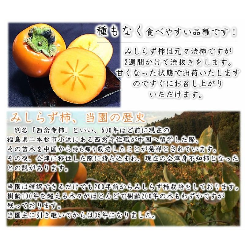 【コメント専用ページ】会津　御山産　みしらず柿　訳あり 会津みしらず柿』 訳あり品 でも美味しい！｜農家直送（3L〜4Lサイズ