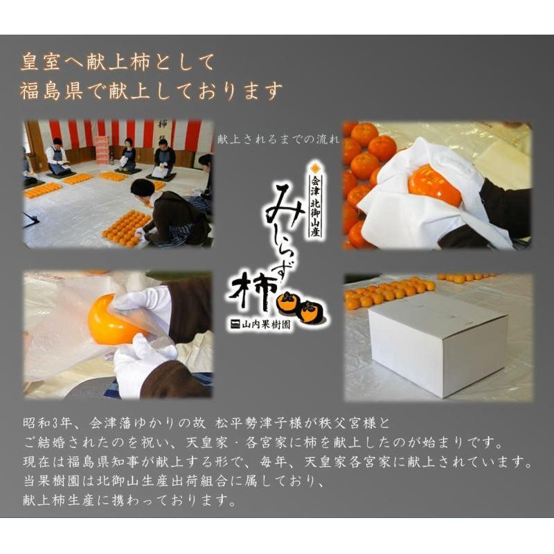 訳アリ会津みしらず柿 普通サイズ 2L以上4kg(15個前後) 福島県会津若松
