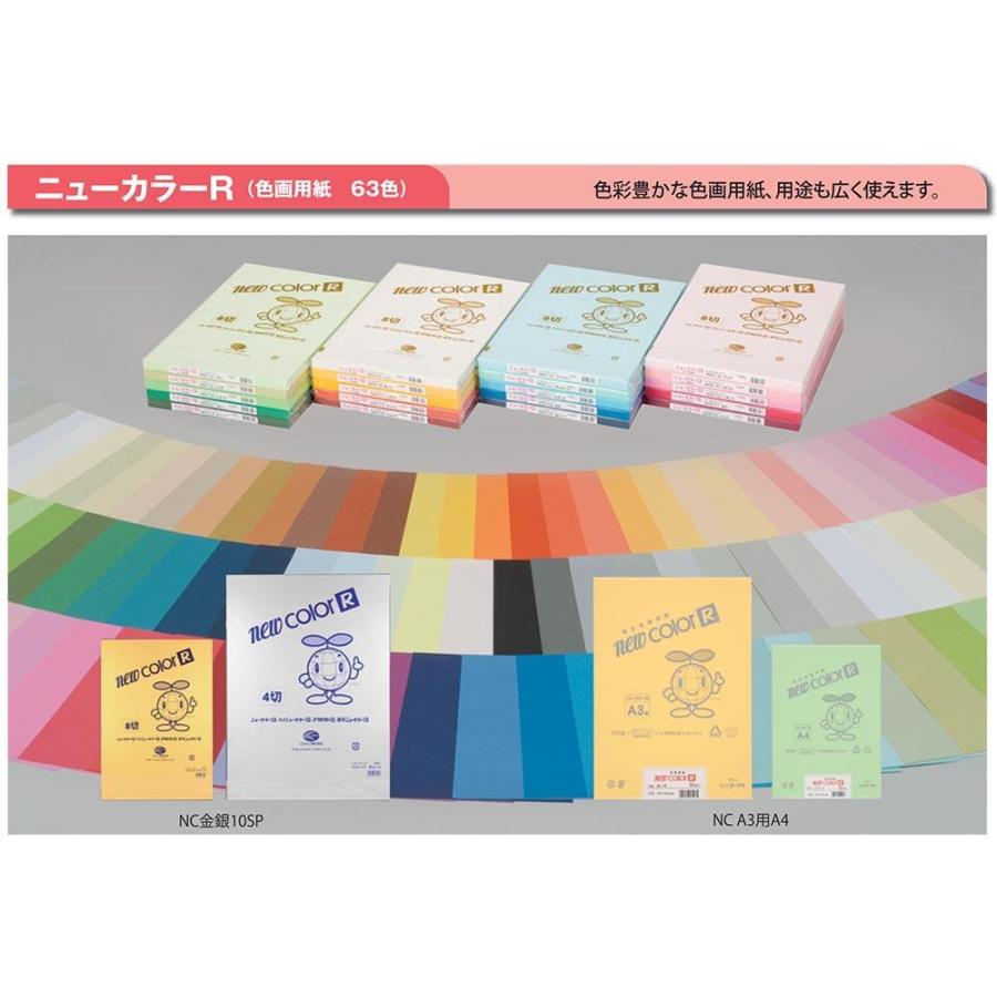 直送品・代引き不可色画用紙A3・10枚(金/銀)(ニューカラーR