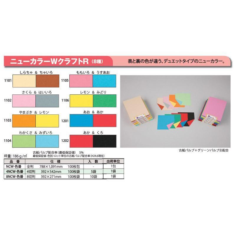 直送品・代引き不可厚口色画用紙・表裏異色・全判100枚(ニューカラーWクラフトR)
