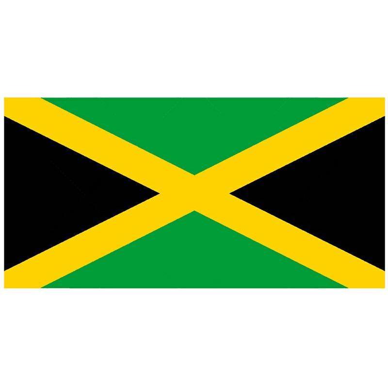 日本国旗 135cm幅 エクスラン