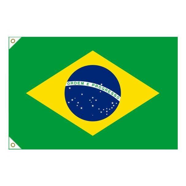 万国旗・世界の国旗ブラジル国旗(180cm幅/エクスラン) その他イベント用品