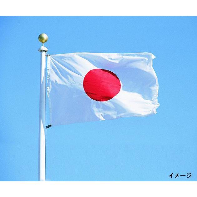 万国旗・世界の国旗日本国旗(270cm幅　エクスラン)本染