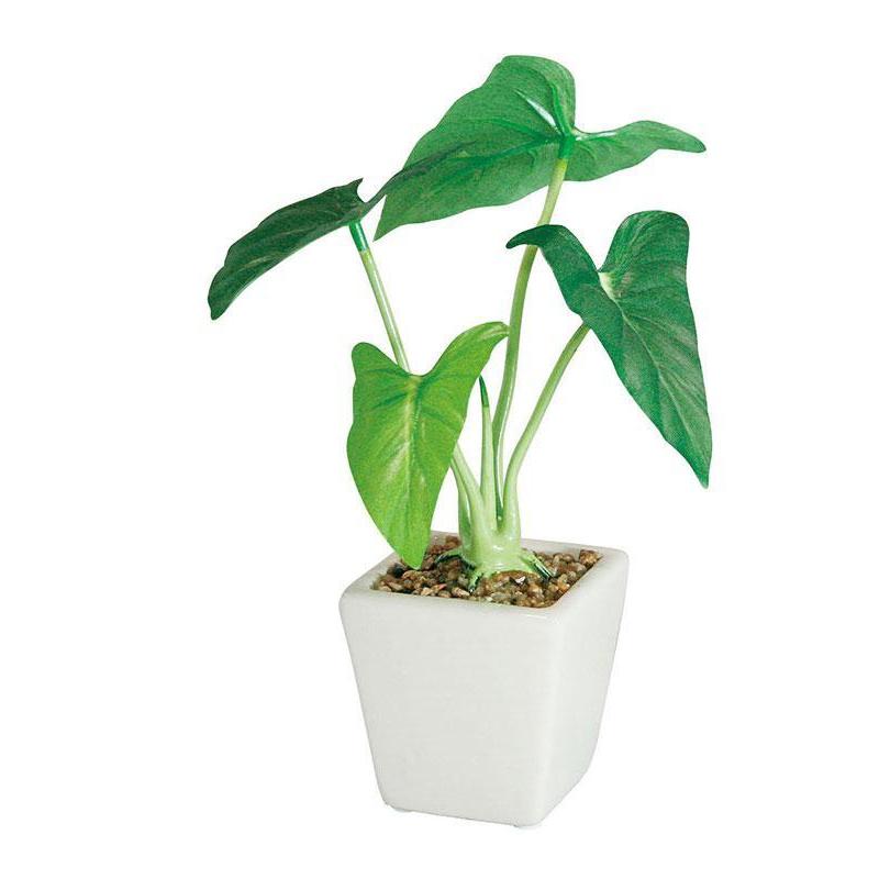 店舗・イベント用品グリーン(観葉植物)タロポット・12個セット