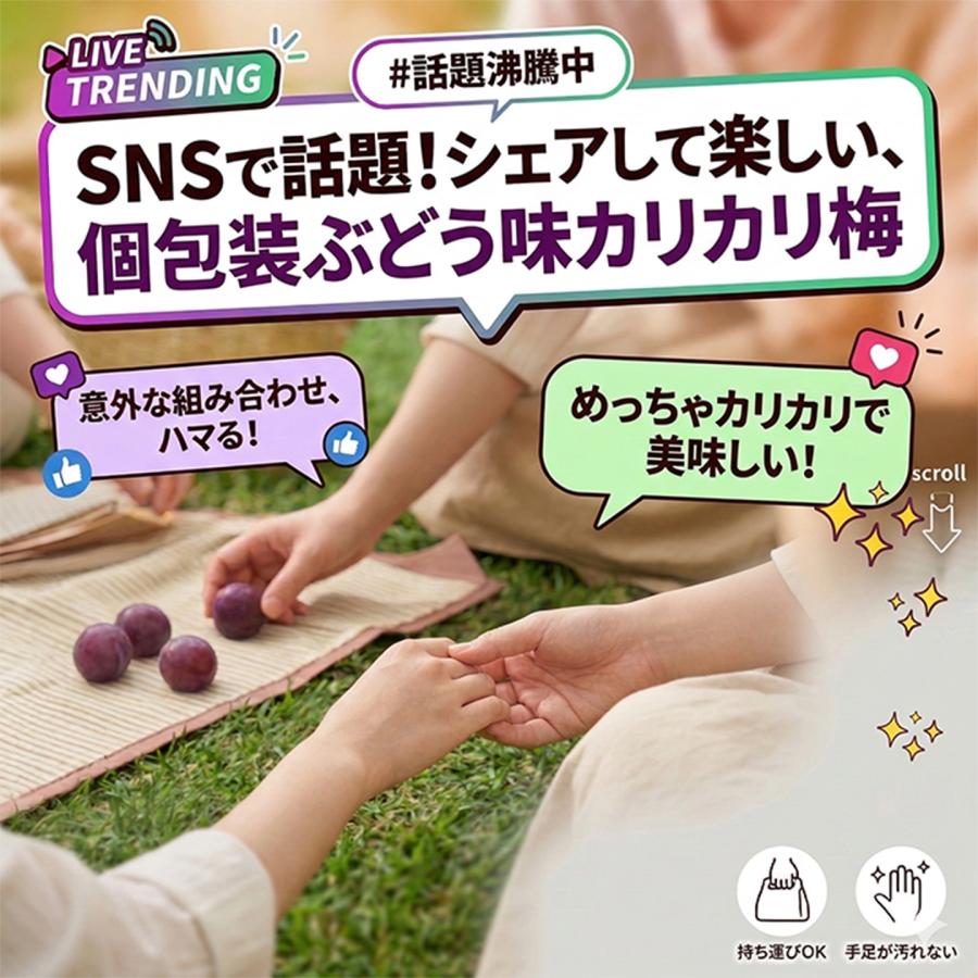 ムラオカ ぶどう味かりかり梅 カリカリ梅 梅菓子 駄菓子 個包装