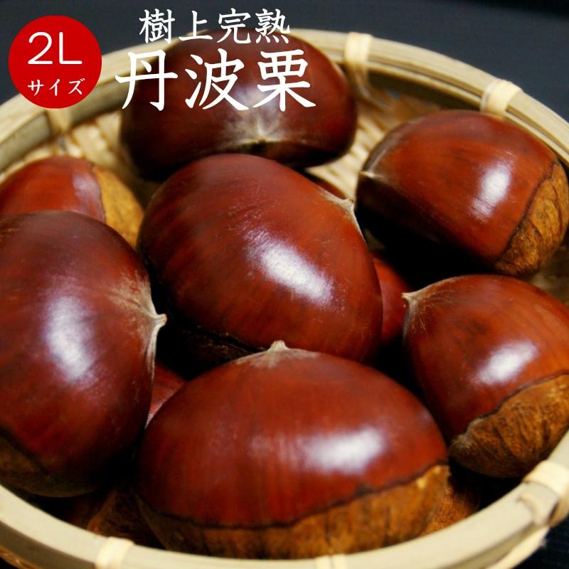Qoo様　生栗　2キロ 愛媛県産 中山栗2キロ（生栗）ご家庭用 お菓子・栗ご飯・渋皮煮