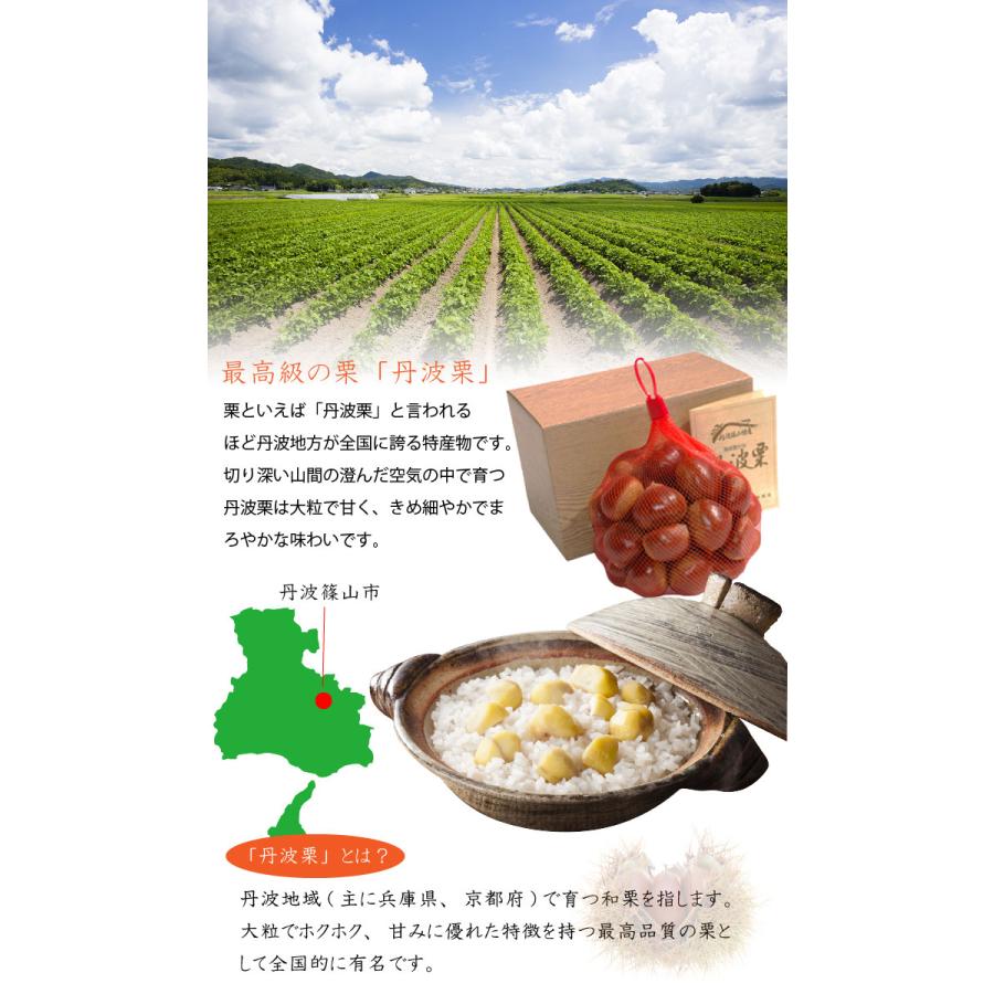 2025年度産 栗 生栗 丹波栗 2Lサイズ 1kg箱 丹波 篠山 : 丹波国