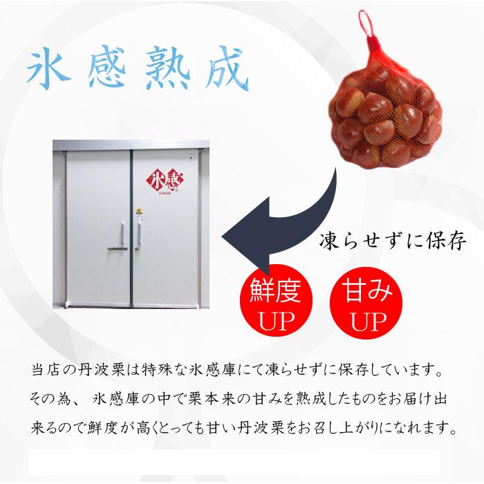 2025年度産 栗 生栗 丹波栗 2Lサイズ 1kg箱 丹波 篠山 : 丹波国