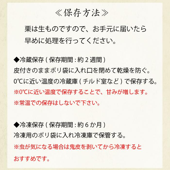 21年度産 栗 生栗 丹波栗 2lサイズ 1kg箱 丹波篠山産 E2 2l 1 丹波国のやまゆ 通販 Yahoo ショッピング