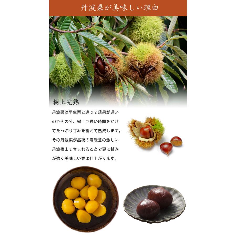 2025年度産 栗 大粒 生栗 丹波栗 3Lサイズ 1kg箱 丹波 篠山