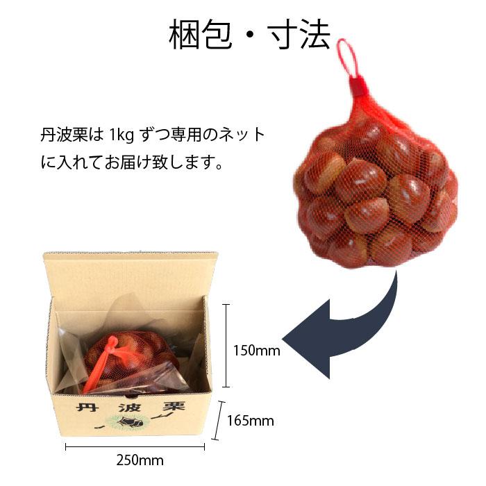 2024年度産 生栗 丹波栗 Lサイズ 1kg箱 丹波 篠山 : 丹波国のやまゆ 